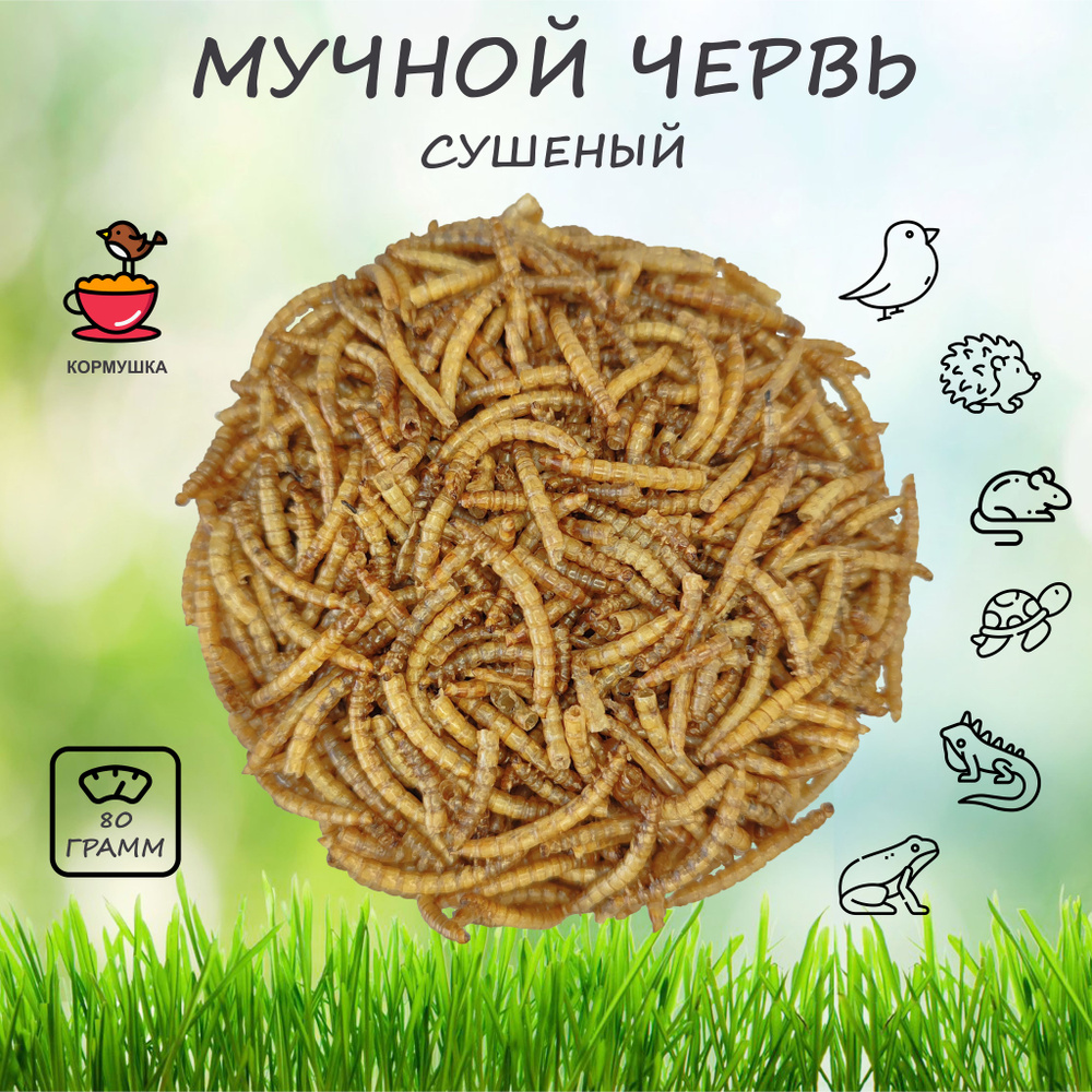 Мучной червь сушеный КОРМУШКА - корм для птиц, ежей, грызунов, черепах ...