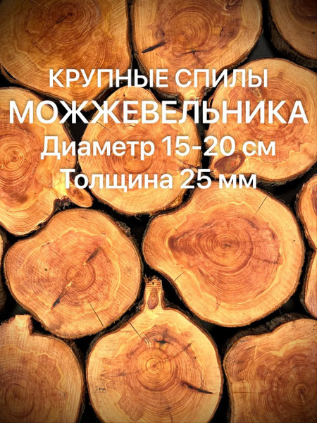 Крупные спилы Можжевельника 15-20см 4шт - купить с доставкой по ...