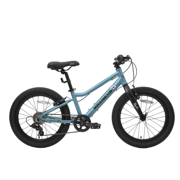 Велосипед Maxiscoo 5BIKE 20'' L (2024) - купить с доставкой по выгодным ...