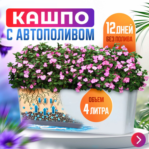 Кашпо с автополивом - купить с доставкой по выгодным ценам в интернет ...