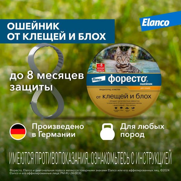 Форесто® ошейник от клещей и блох для кошек - купить с доставкой по ...