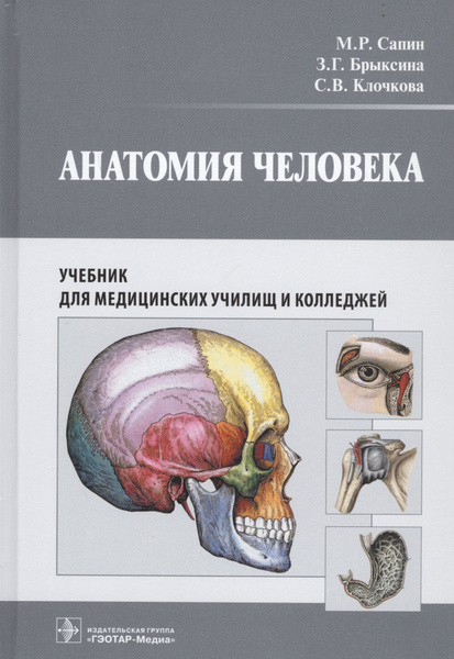 Анатомия человека. Учебник для медицинских училищ и колледжей - купить ...