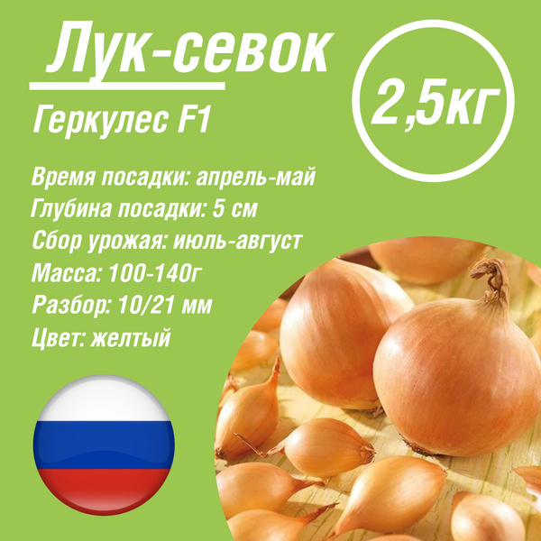Луковицы Лук, Лук севок купить по выгодной цене в интернет-магазине ...