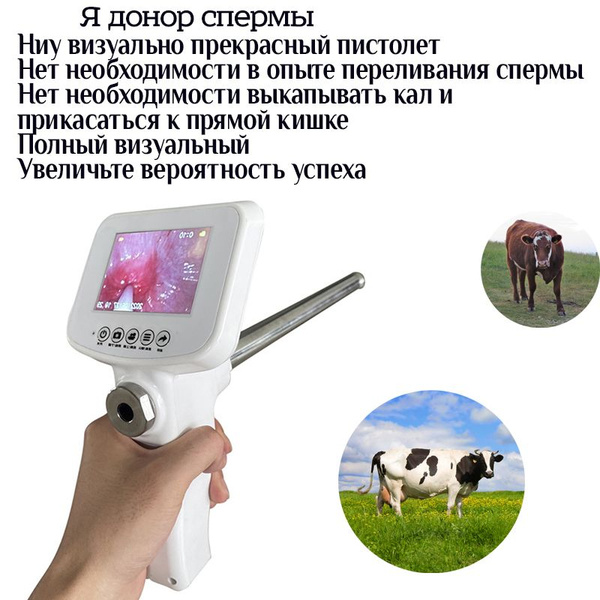 Инструмент Для Искусственного Осеменения Молочных Коров Визуальный ...
