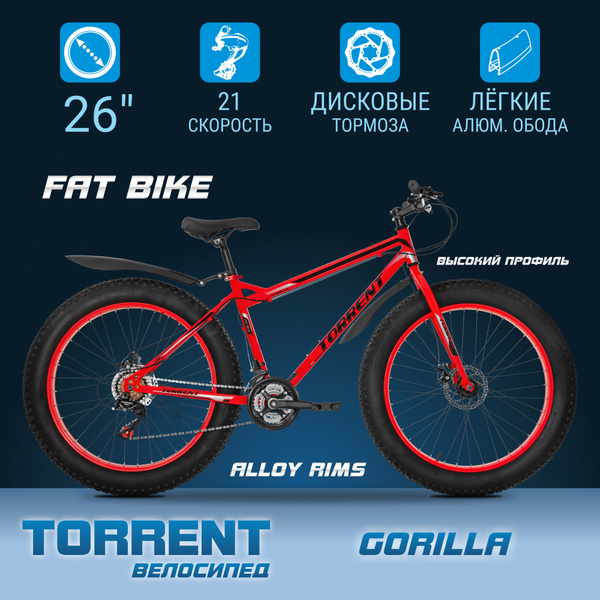 Велосипед TORRENT Gorilla (рама сталь 17", внедорожный, 21 скорость ...