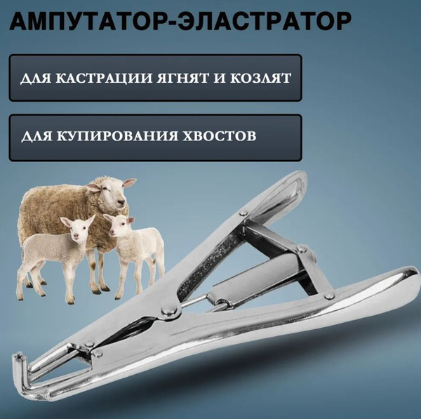 Щипцы для кастрации ягнят, овец, коз металик натяжные 1 штука ...