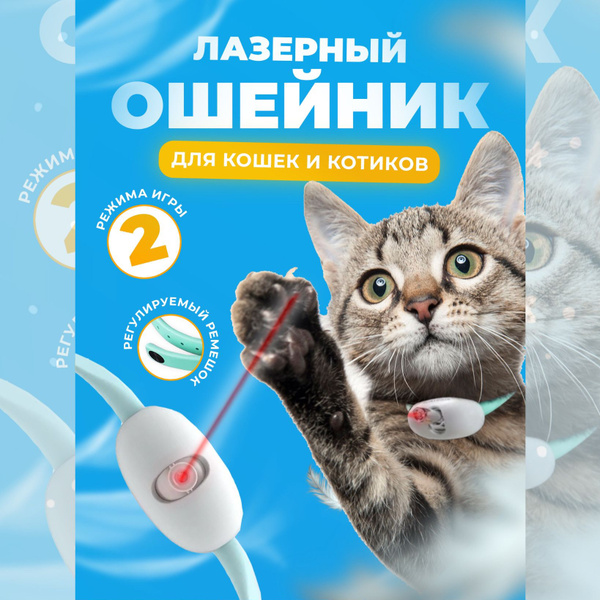 ошейник с лазерной указкой для кошек и котов - купить с доставкой по ...