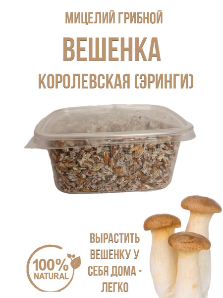 Мицелий вешенки королевской эринги грибница домашняя - купить по ...