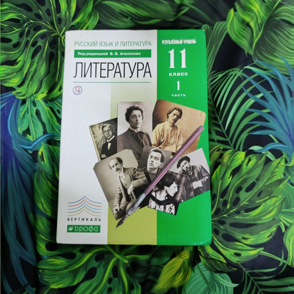 литература 11 класс 1 часть Агеносов В. В. с 2014-2018 год - купить с ...
