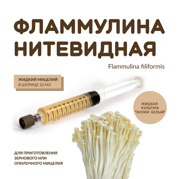 Жидкий мицелий Фламмулины нитевидной (Эноки белый) - купить по выгодным ...