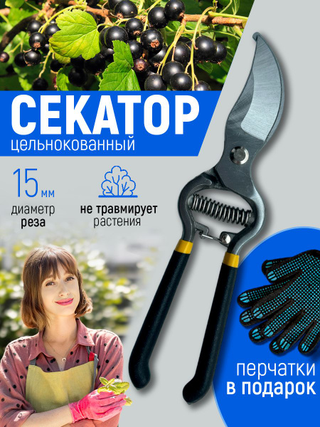 Секатор Секаторы садовые - купить по выгодным ценам в интернет-магазине ...