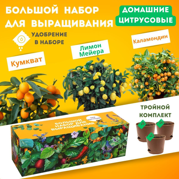 Набор для выращивания Plant Republic, Лимон комнатный, Мандарин ...