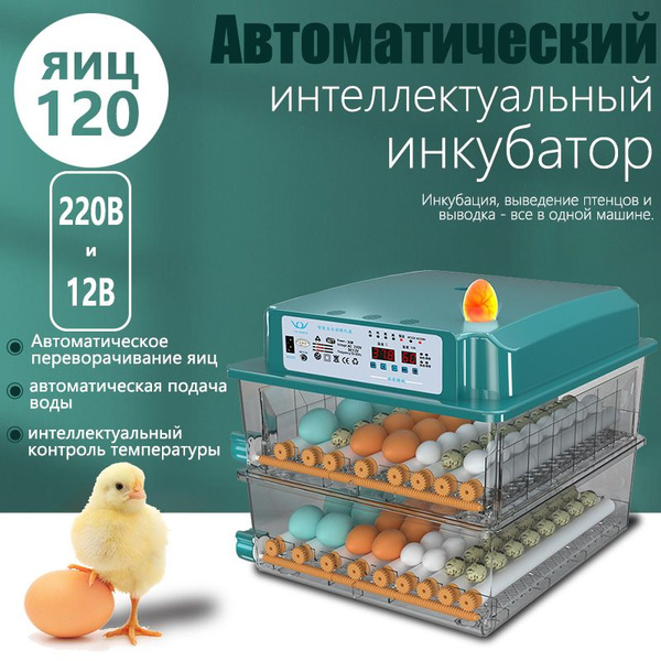 Автоматический умный инкубатор, 120 яиц. 220в и 12в - купить с ...