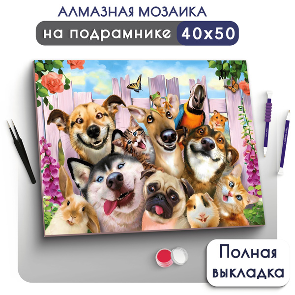 Алмазная мозаика на подрамнике 40х50 Вышивка Живопись Животные купить ...