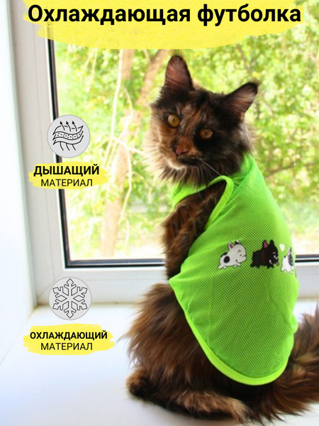Майка для собак и кошек - купить с доставкой по выгодным ценам в ...