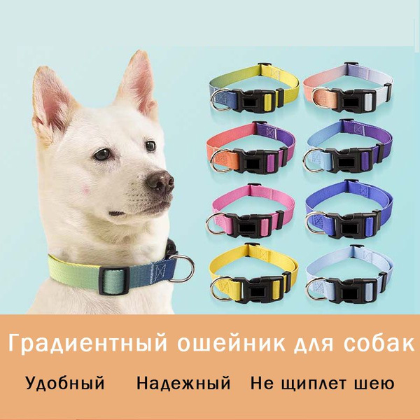 Нейлоновый ошейник с градиентом для собак, Собачий поводок - купить с ...