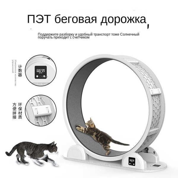 Беговое колесо для животных - купить с доставкой по выгодным ценам в ...