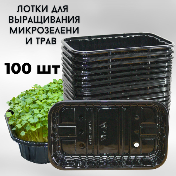 Лотки для выращивания микрозелени, контейнер, бокс, с перфорацией ...