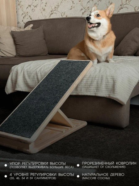 Пандус для собак прикроватный - купить с доставкой по выгодным ценам в ...