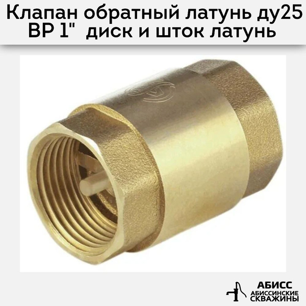 Клапан обратный осевой латунь ДУ25 внутренняя резьба 1" диск нейлон ...