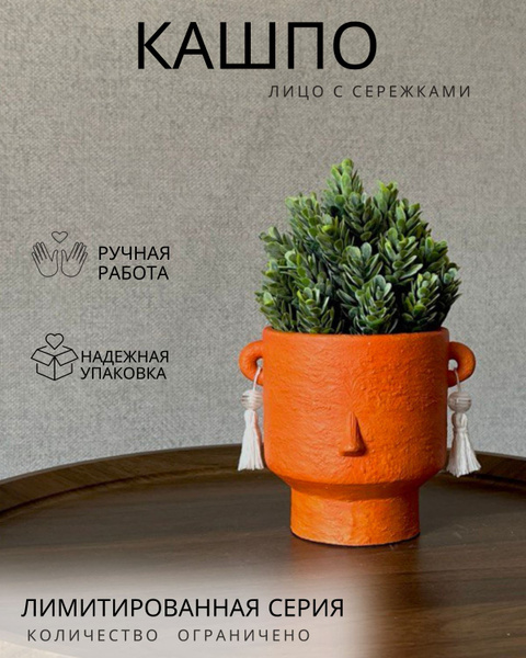 Декоративное кашпо Лицо для суккулентов - купить с доставкой по ...