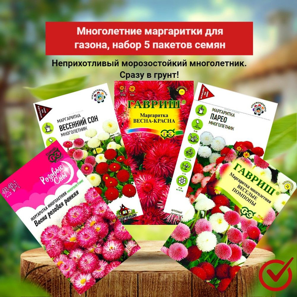 Маргаритки Гавриш набор многолетних цветов - купить по выгодным ценам в ...