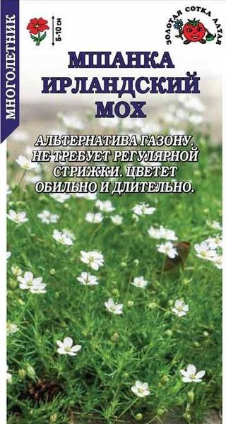 Мшанка (мох ирландский) Золотая сотка Алтая Мшанка - купить по выгодным ...