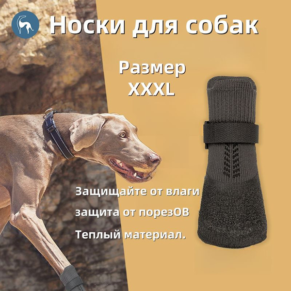 Носки для собак мелких , средних и крупных пород прорезиненные защитные ...