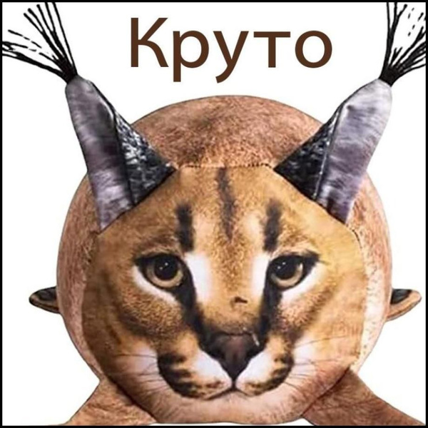 Мягкая антистрессовая игрушка ШЛЕПА большой русский кот 25 см, плюшевые ...