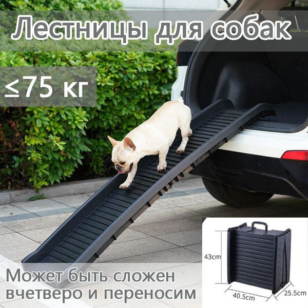 Домашние животные используют складные пандусы / лестница для собак в ...