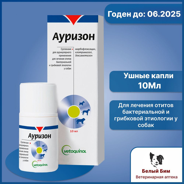 Ушные капли Ауризон, 10 мл купить на OZON по низкой цене (1638623548)