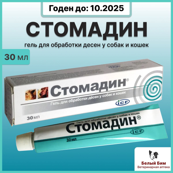 Стомадин гель 30 мл купить на OZON по низкой цене (1732804134)