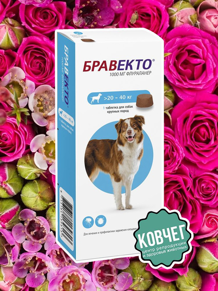Бравекто 20-40 кг; таблетка 1000 мг; срок до 30.08.2025; Замена ...