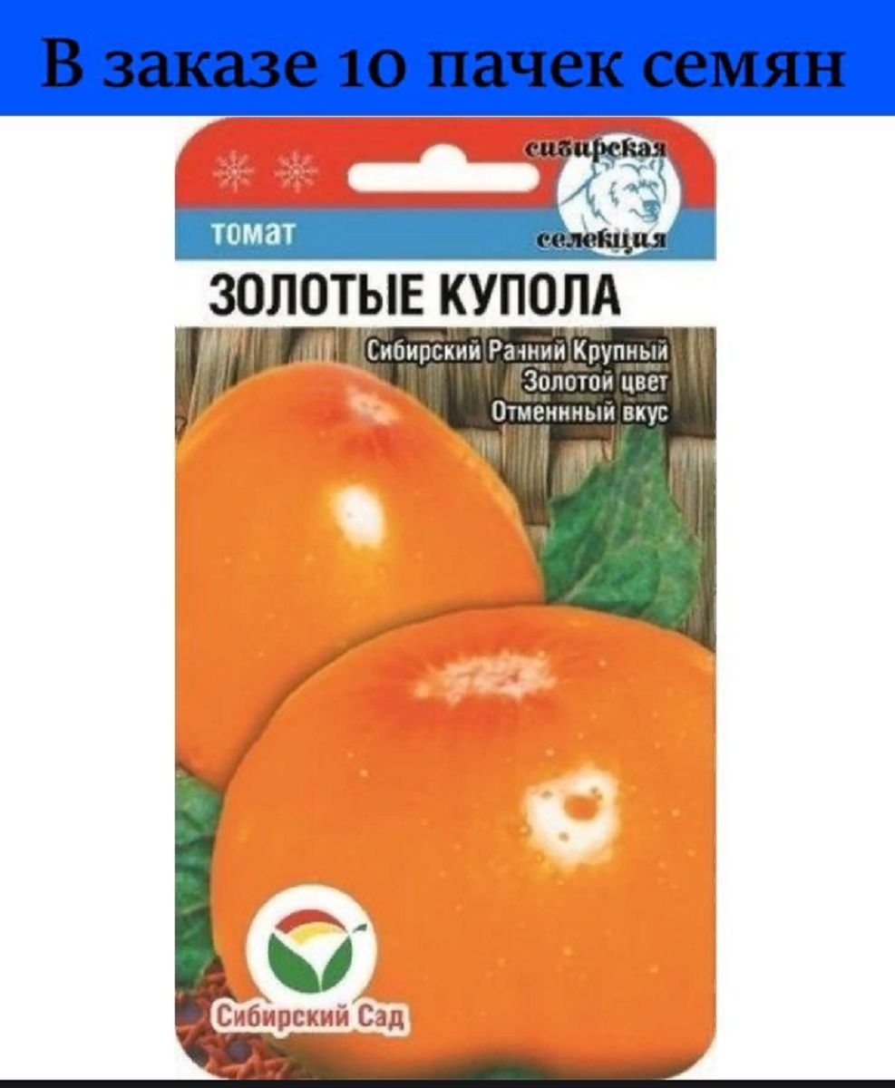 Томат золотые купола отзывы фото урожайность