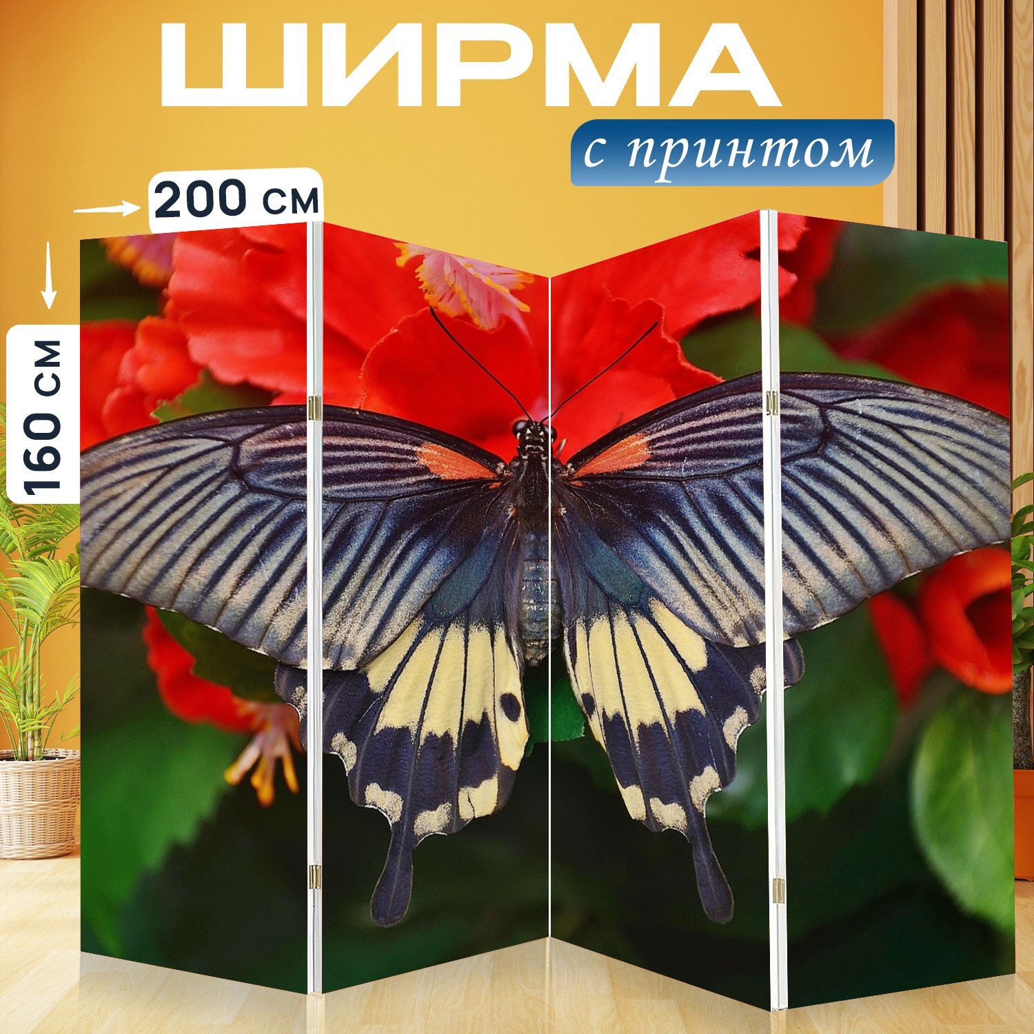 Ласточкин хвост бабочка