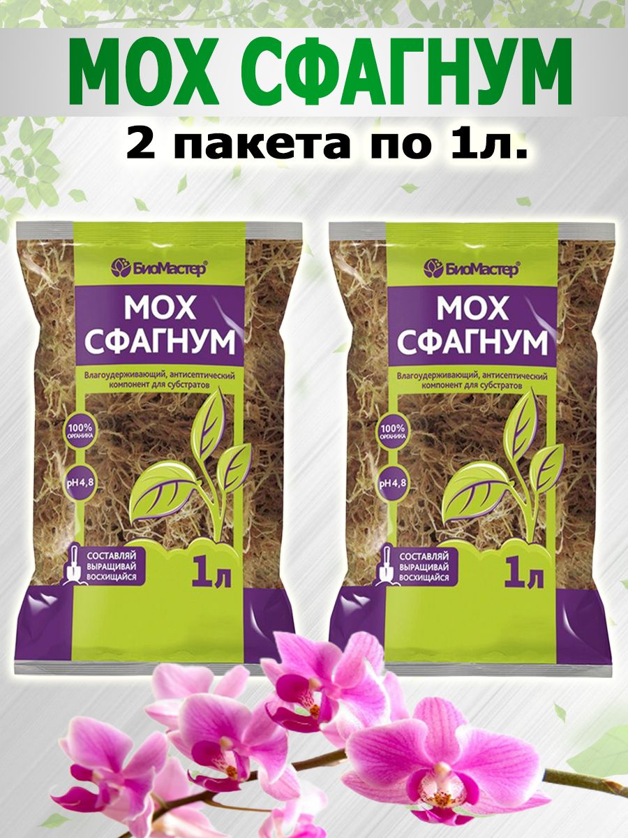 Мох Вырастить купить на OZON по низкой цене