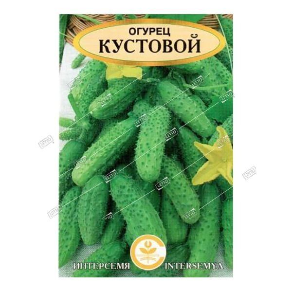 Купить Семена Огурцов Кустовой