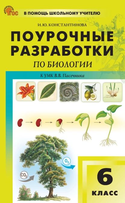 Поурочные разработки по биологии к УМК В. В. Пасечника (М.: Просвещение). Пособие для учителя. 6 класс | Константинова Ирина Юрьевна | Электронная книга