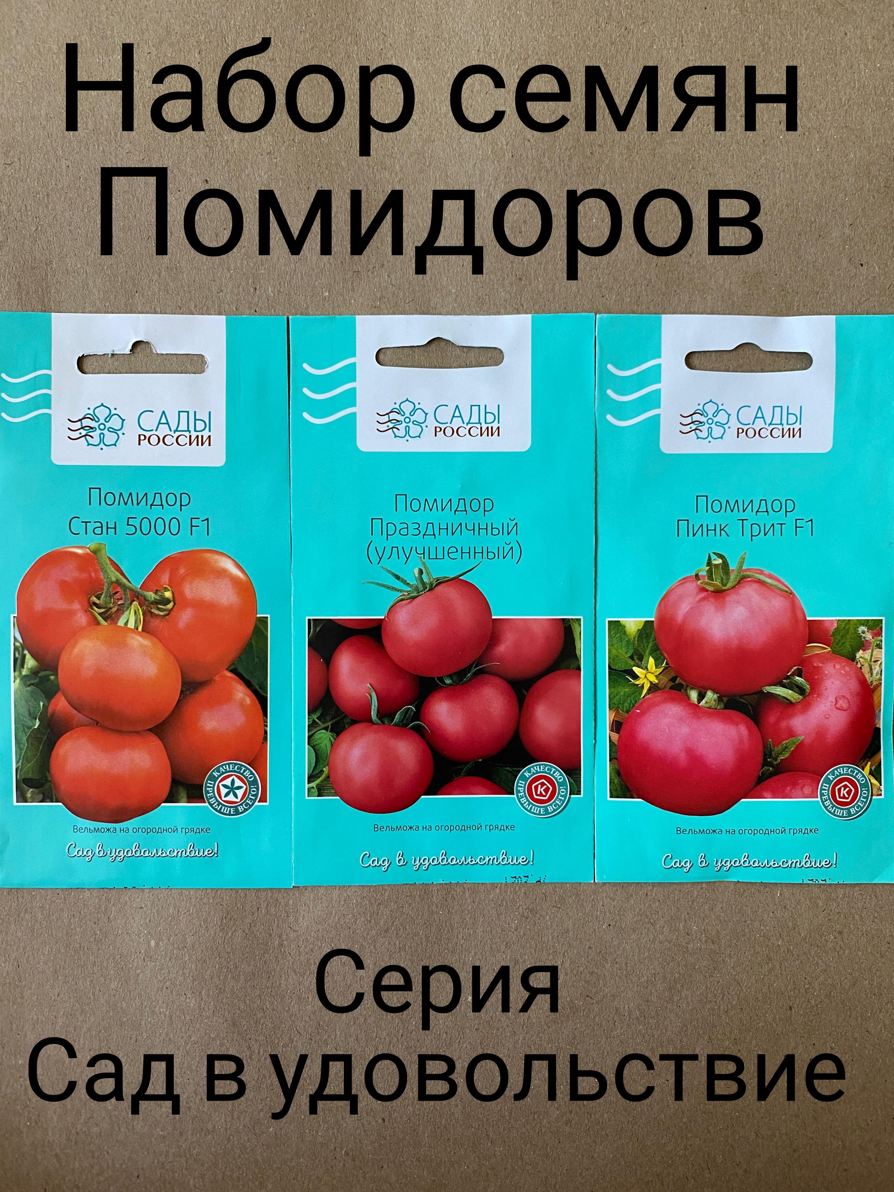 Томаты Сады России Сад в удовольствие - купить по выгодным ценам в  интернет-магазине OZON (1496575697)