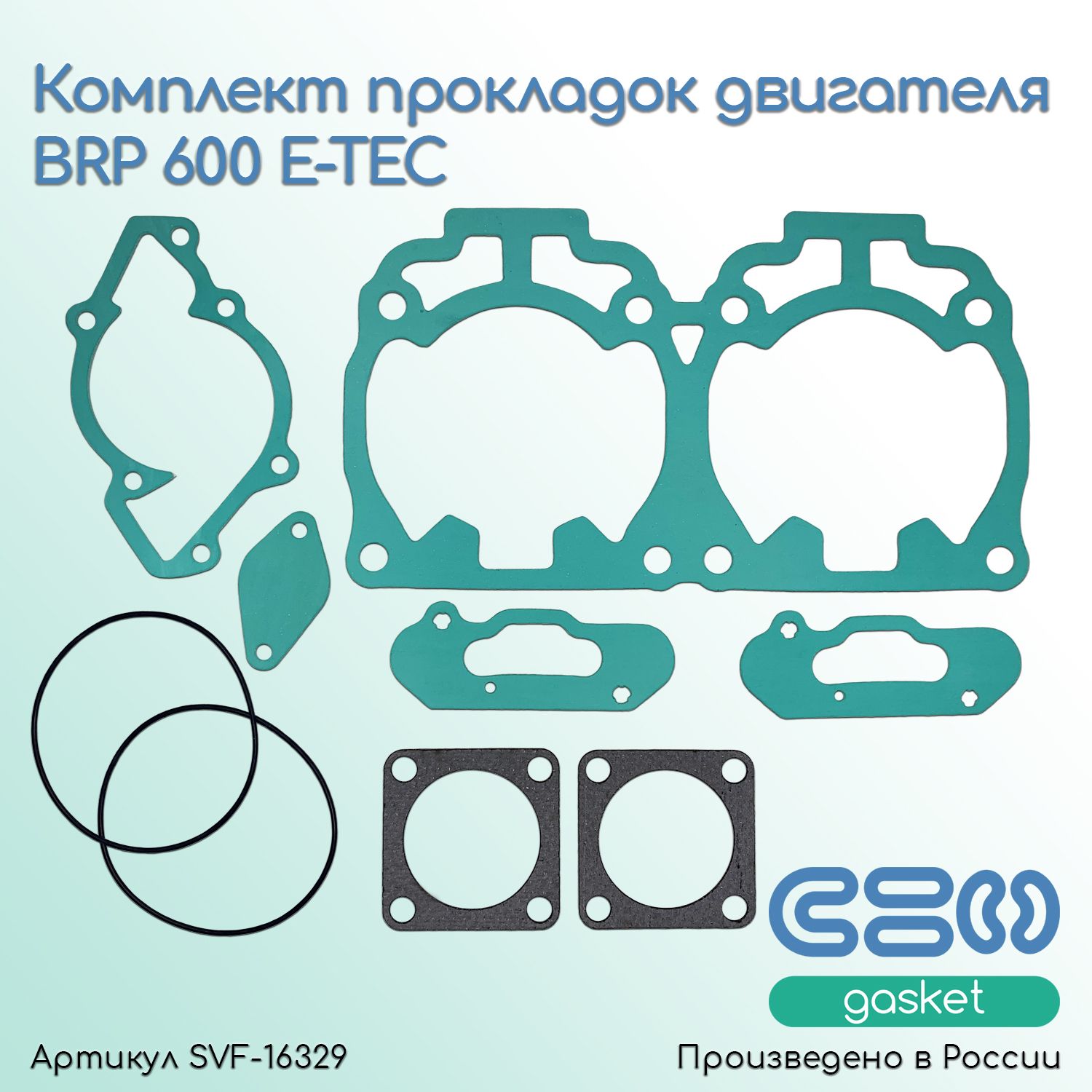 Комплект прокладок двигателя BRP 600 E-TEC