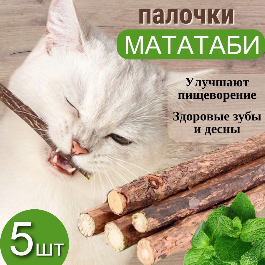 Палочкимататабидлячисткидесенизубов,игрушкадлякошек5шт