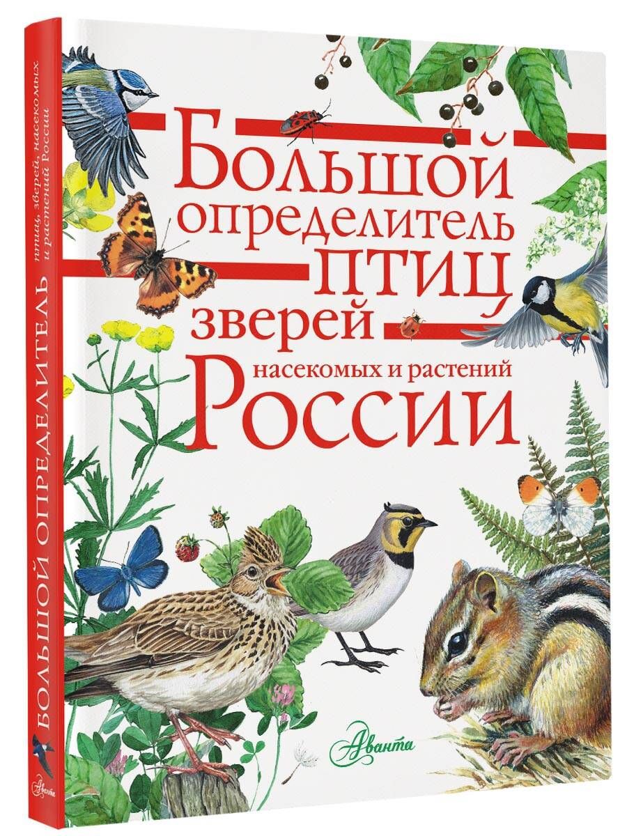 Большой определитель птиц, зверей, насекомых и растений России | Волцит Петр Михайлович, Пескова Ирина Михайловна