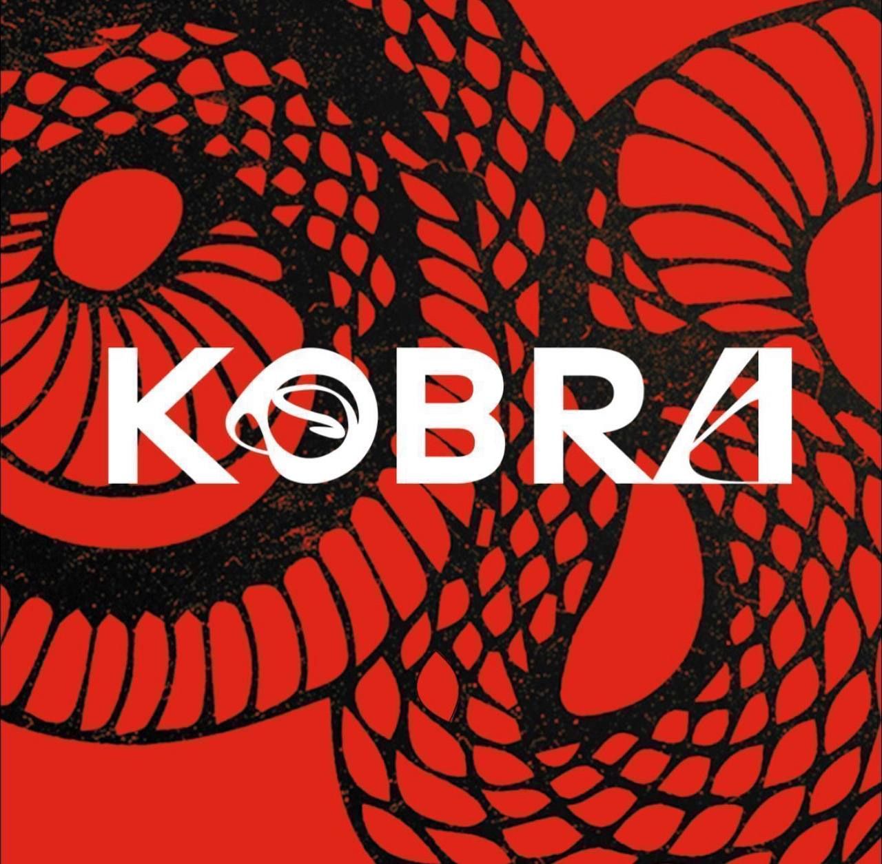Kobra bra — купить товары Kobra bra в интернет-магазине OZON