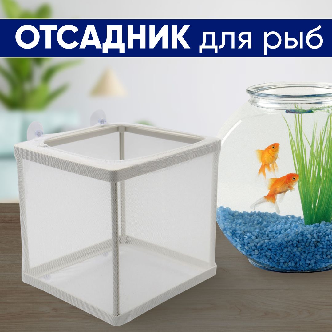 Отсадник для рыб, белый, 16 x 15 x 14 см, средний