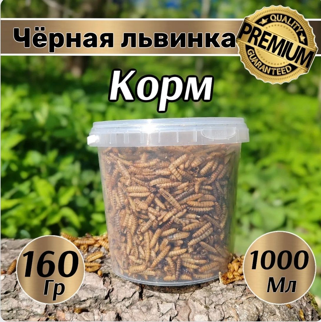 Лакомство для крыс, черная львинка, хомяков, ежей