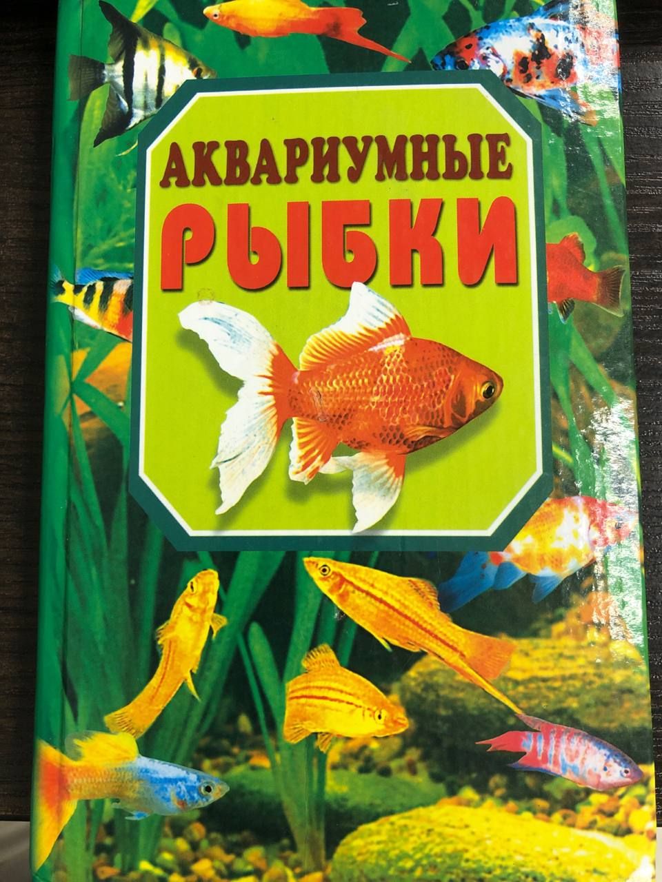 Аквариумные рыбки | Рублев Сергей Владиславович