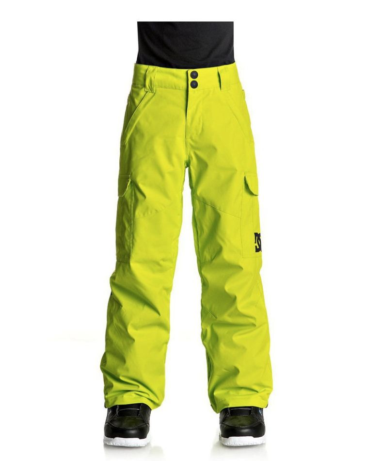 Брюки утепленные DC Shoes