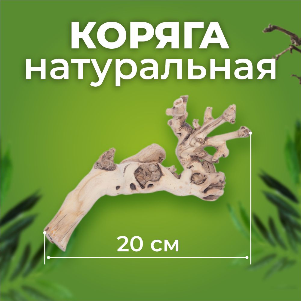 Коряга Виноградная лоза Белая 20 см