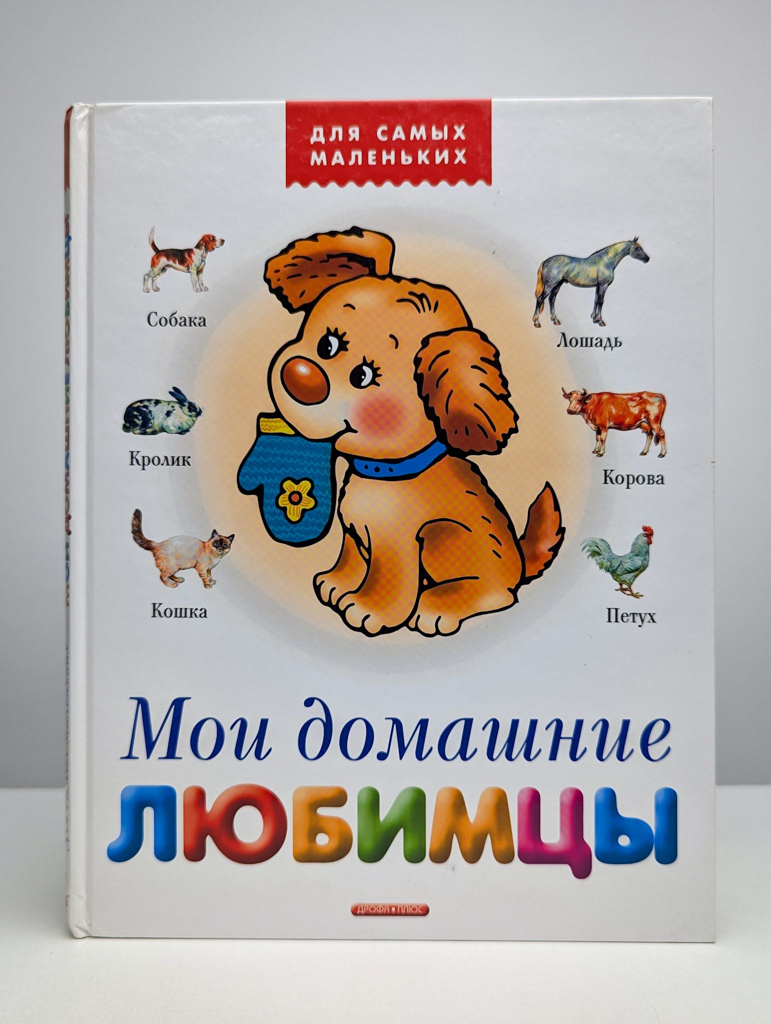 Мои домашние любимцы | Тихонов Александр Васильевич