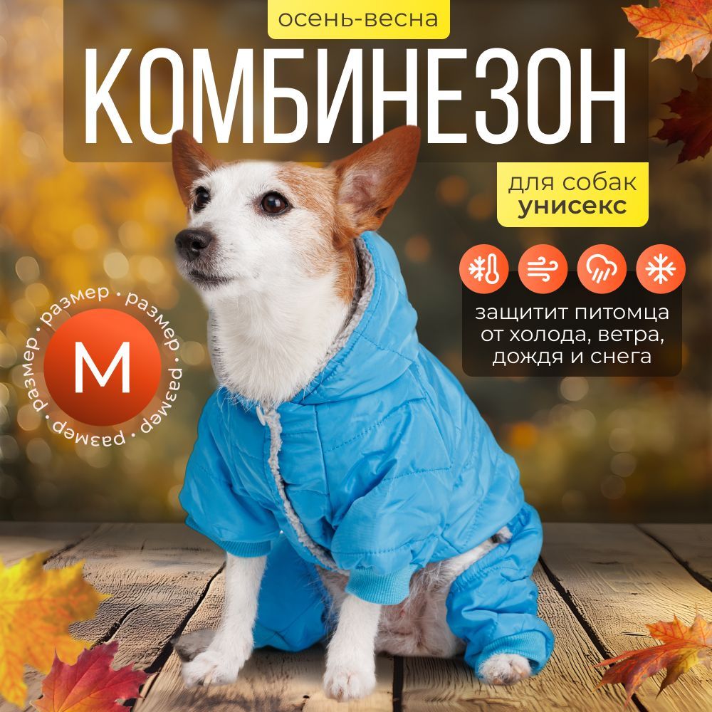 Одежда (комбинезон) для собак Petmax, р. М, голубой